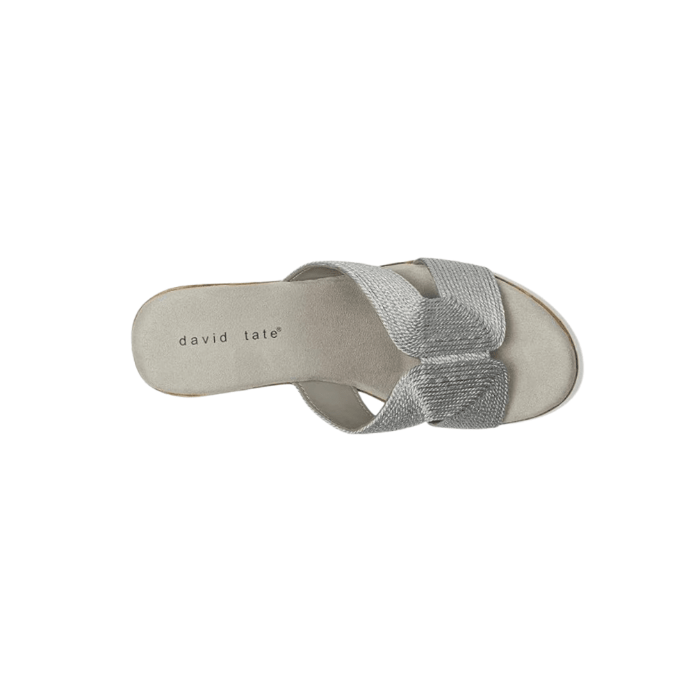 David Tate Women's Vibe Wedge Slide Sandal - Silver Rayon Fabric 6