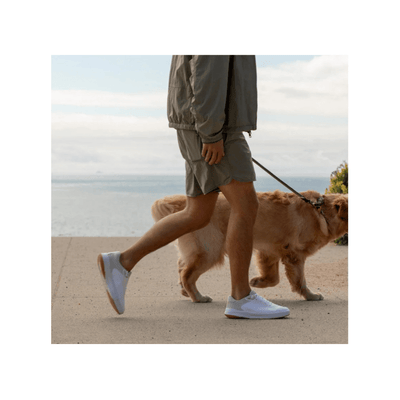 Reef Men's Shoreline Del Mar Breathable Lightweight Sneaker - White 6
